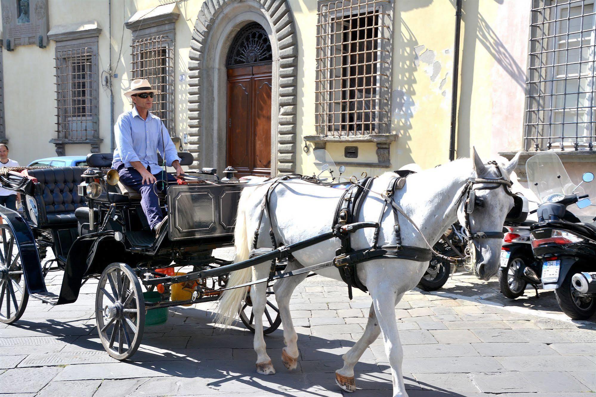 Dimora Dei Guelfi Luxury Rooms Lucca Exteriér fotografie